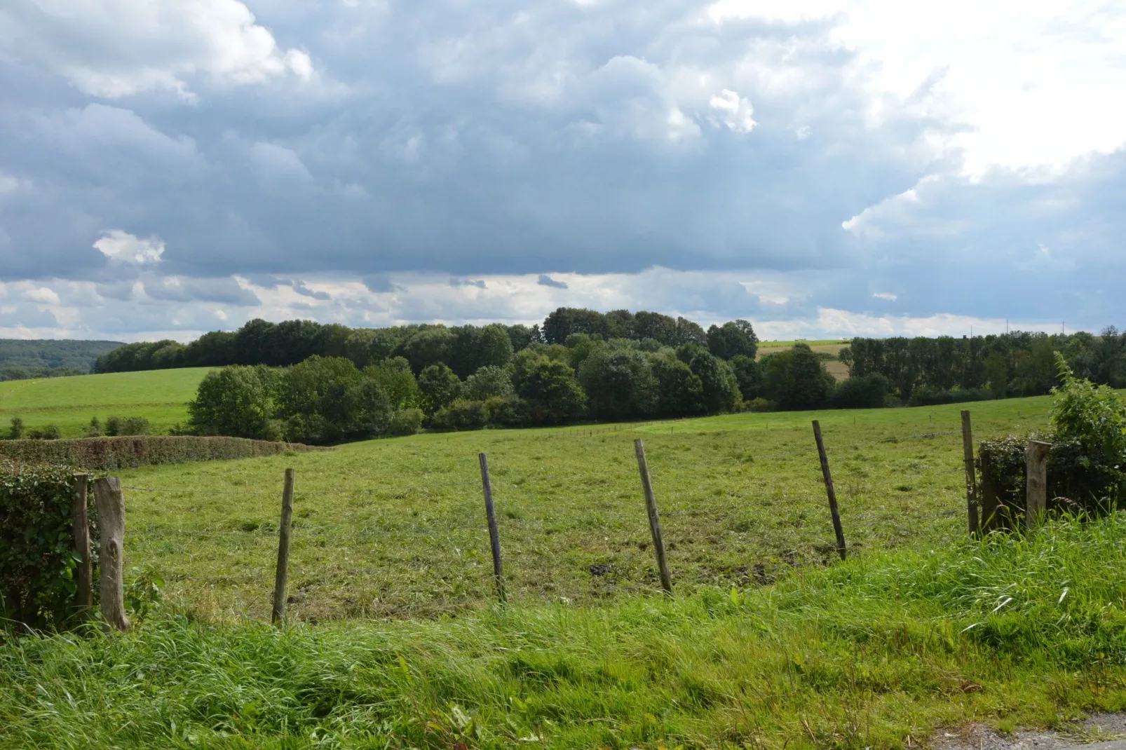 Mosterthoeve-Areas summer 1km