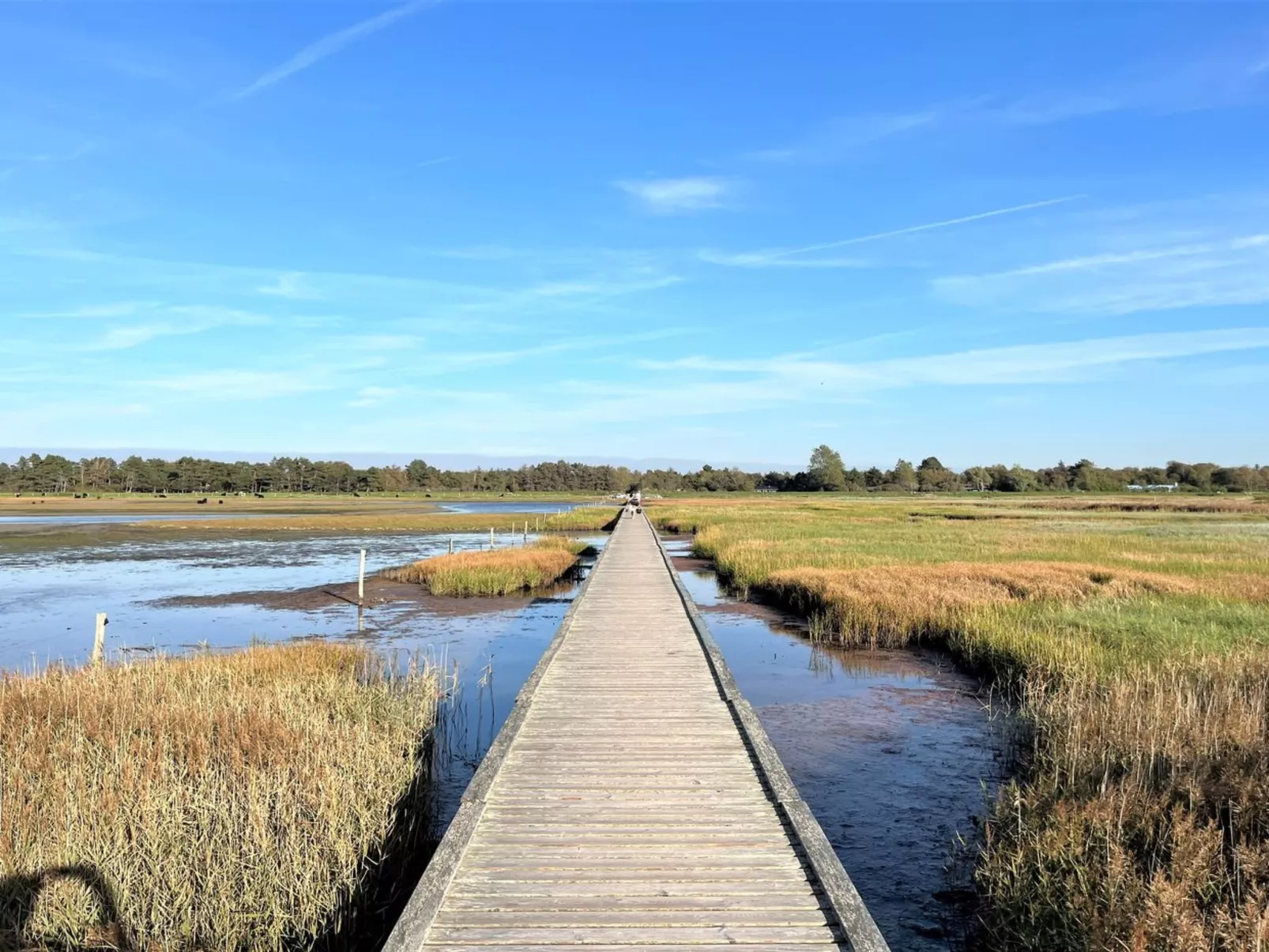 "Zezilie" - 500m from the sea-Inside