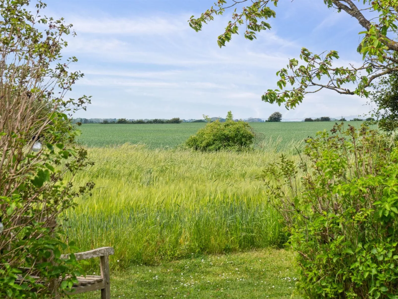 "Ødke" - 350m from the sea-Dehors