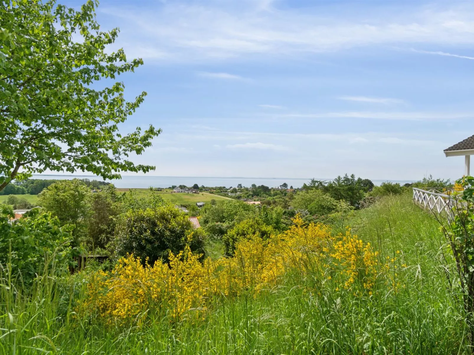 "Gjuro" - 800m from the sea-Draußen
