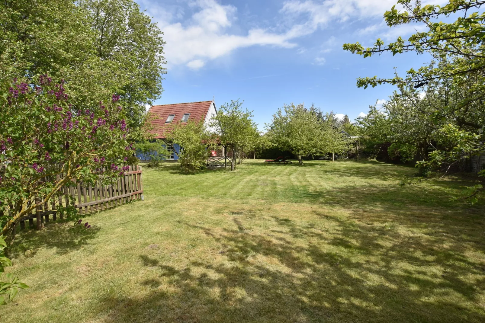 Ferienhaus am Haff-Gardens summer