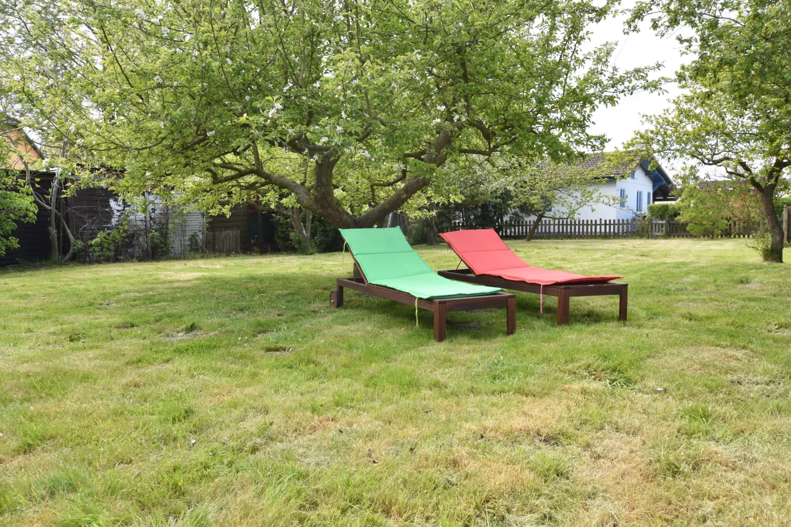 Ferienhaus am Haff-Facilities