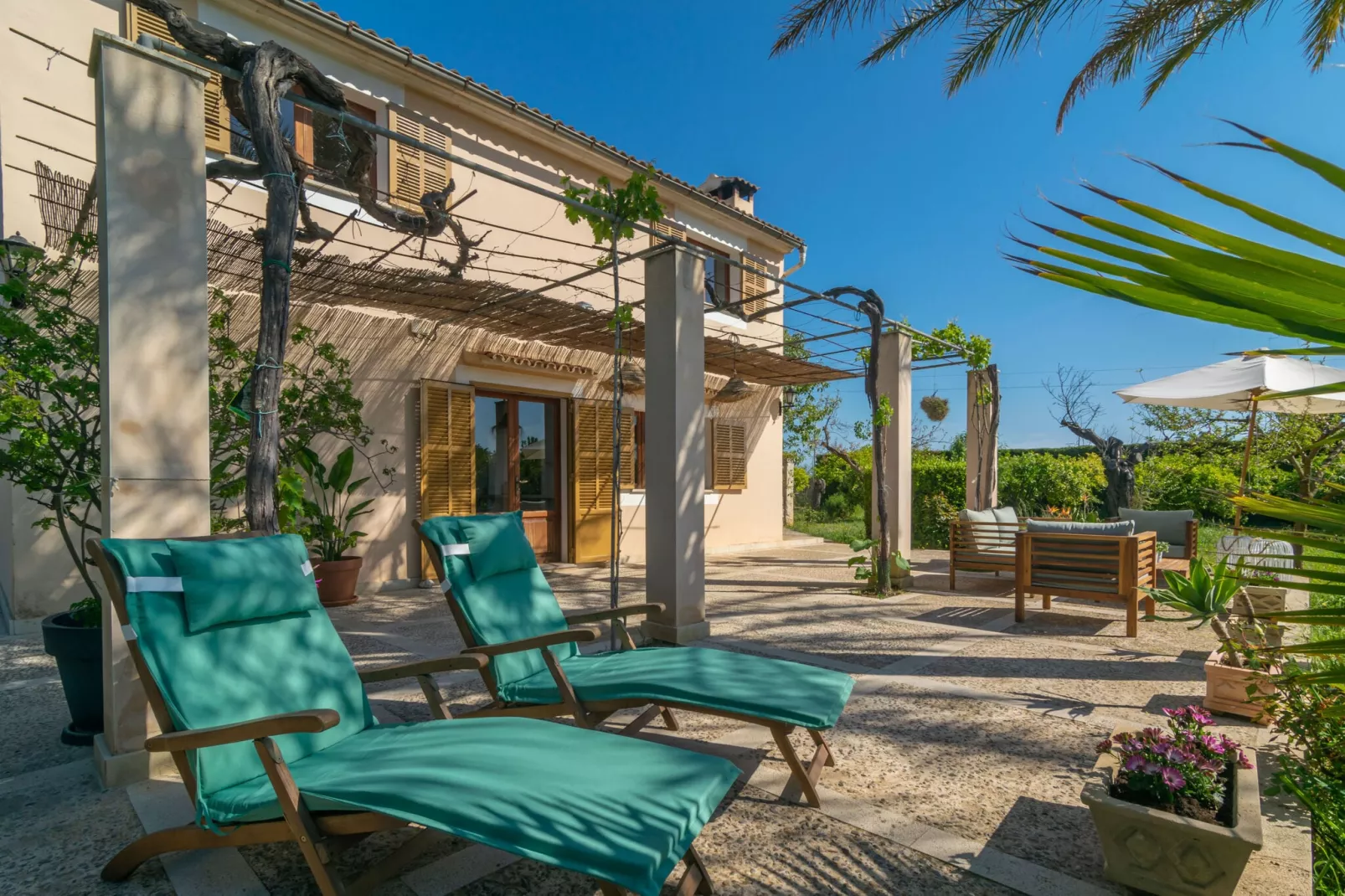 Can Pilos-Exterior summer