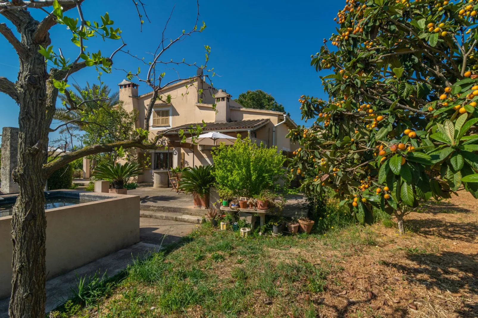 Can Pilos-Exterior summer
