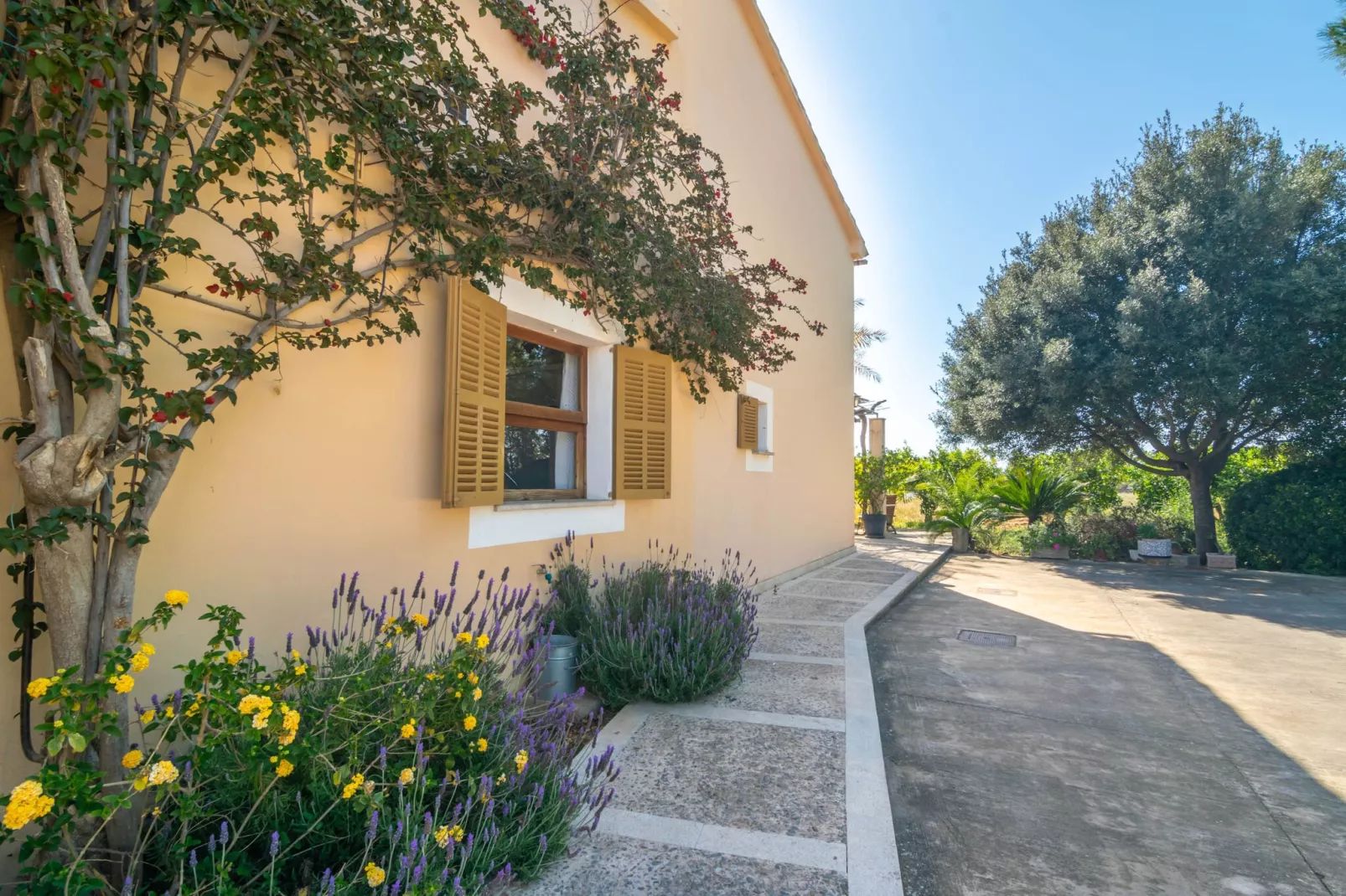Can Pilos-Exterior summer