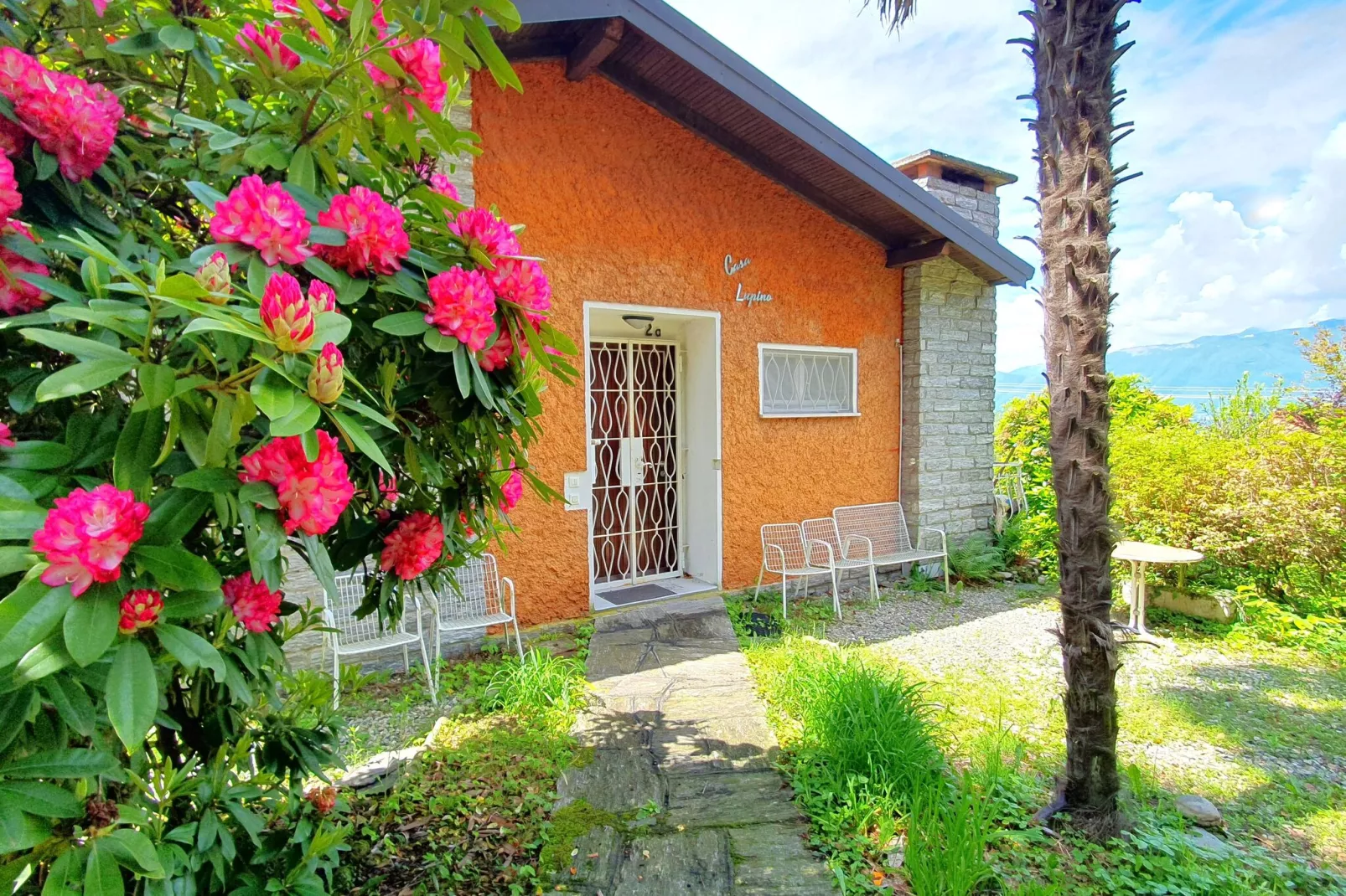 LUP-Exterior summer