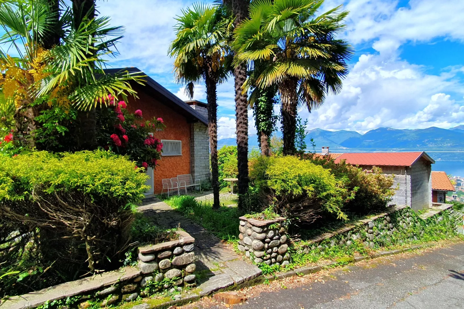 LUP-Exterior summer