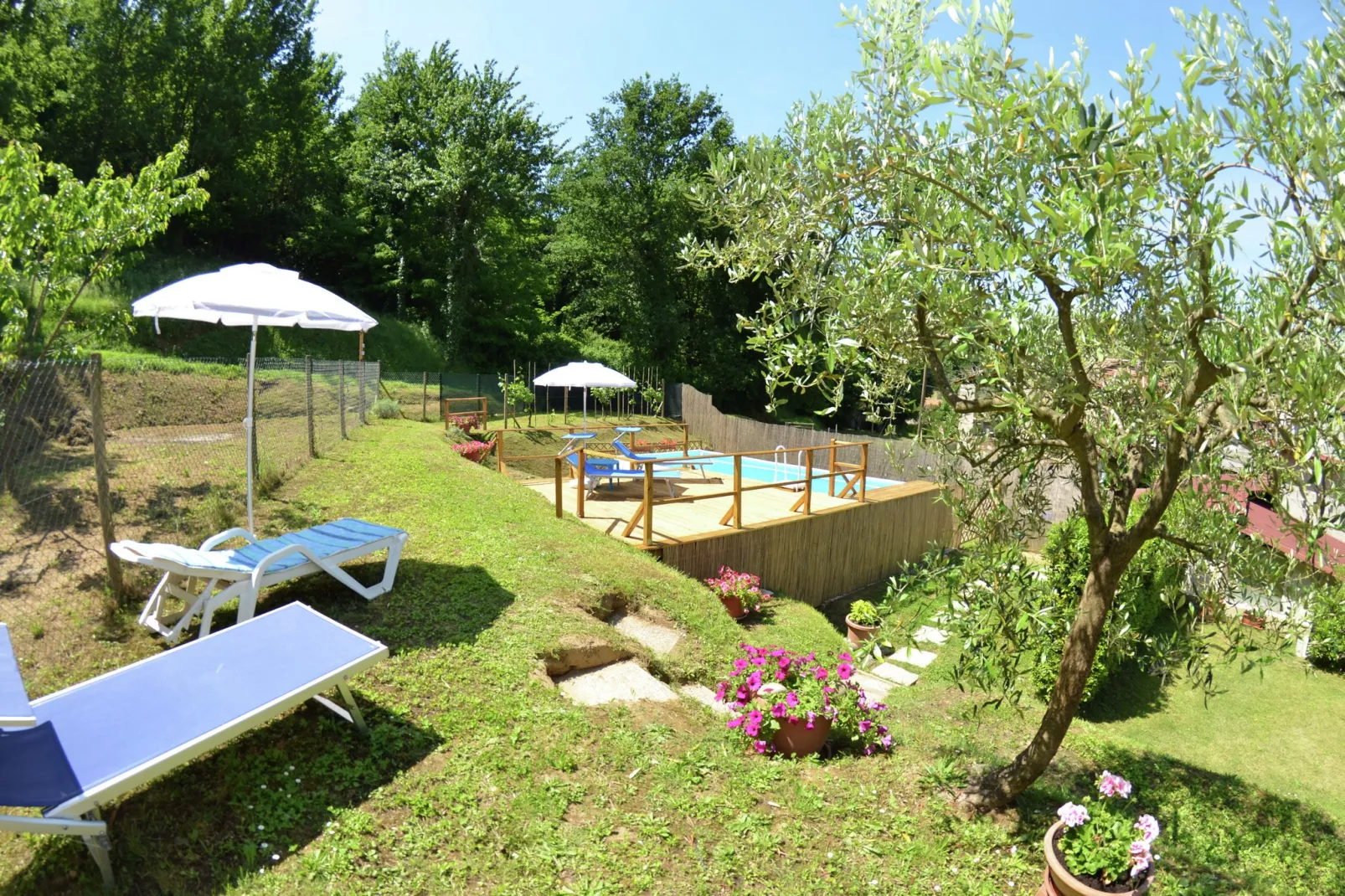 Margherita-Gardens summer