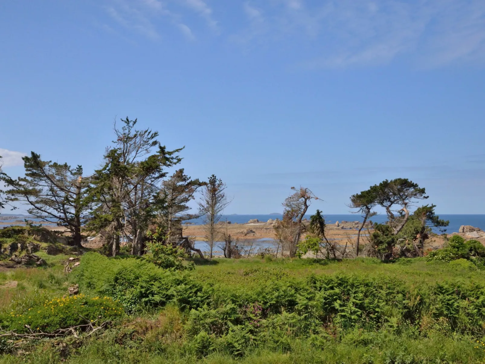 Kermorvan-Area