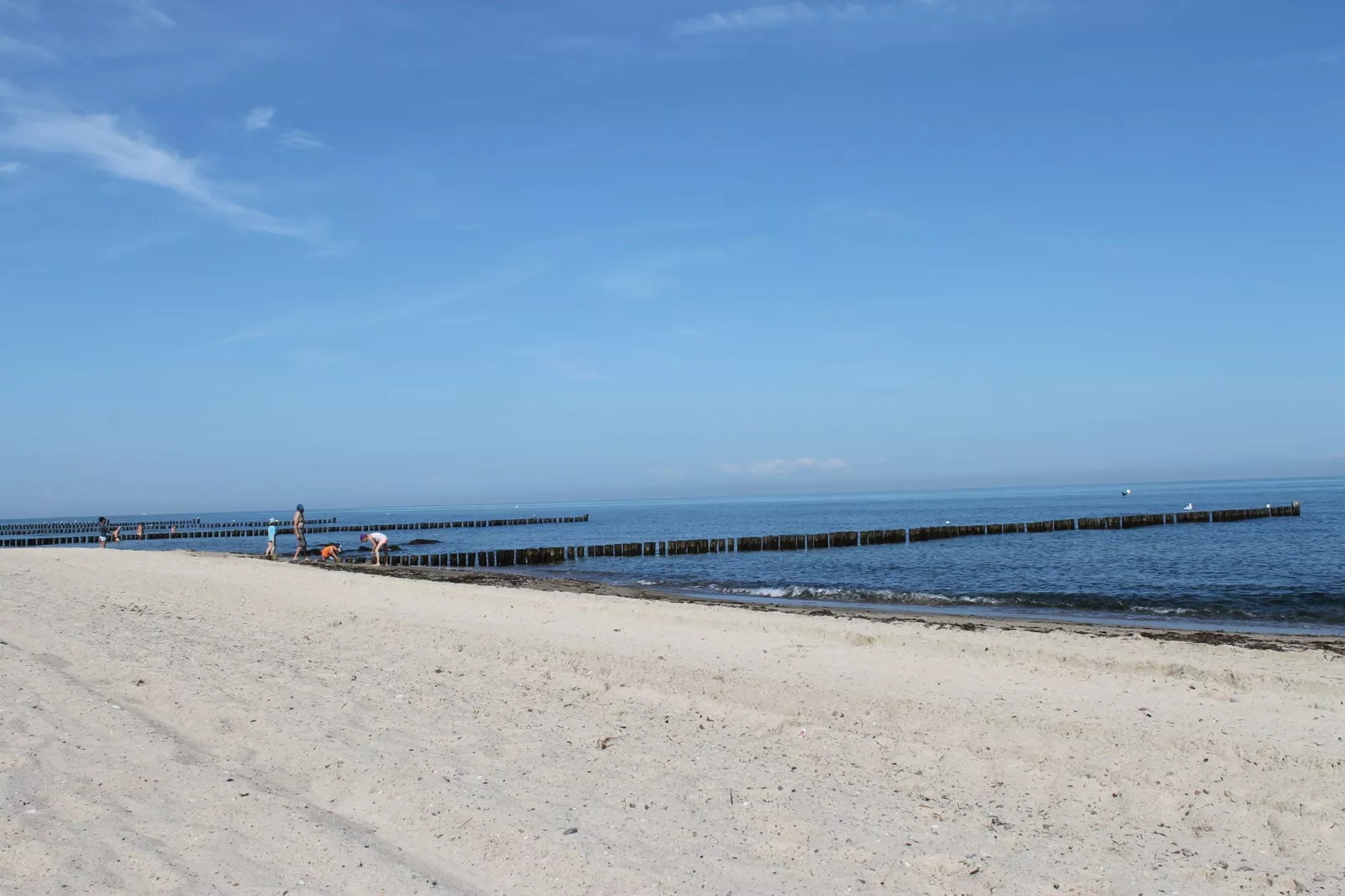 Im Grünen-Areas summer 5km