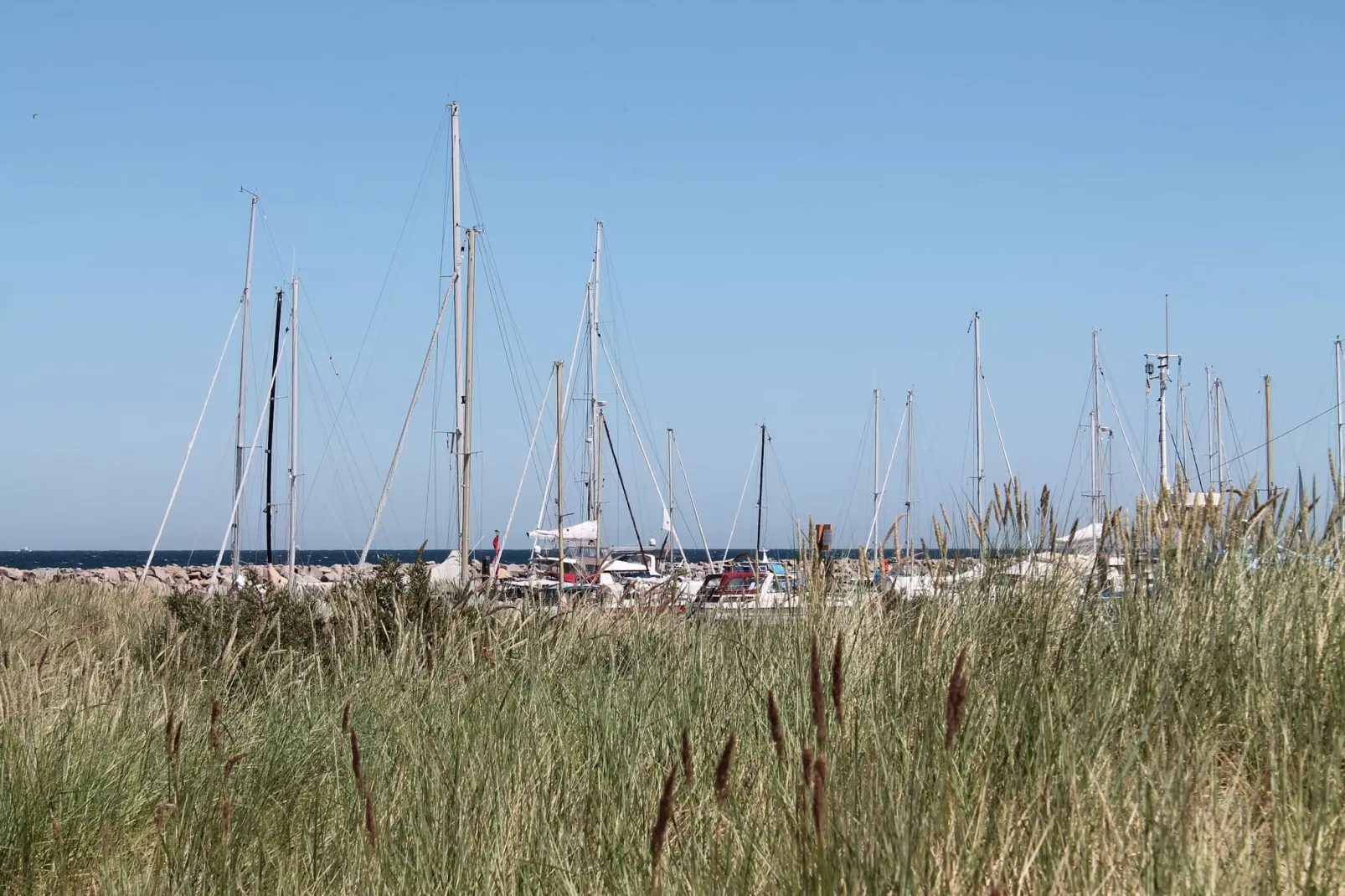 Im Grünen-Areas summer 5km
