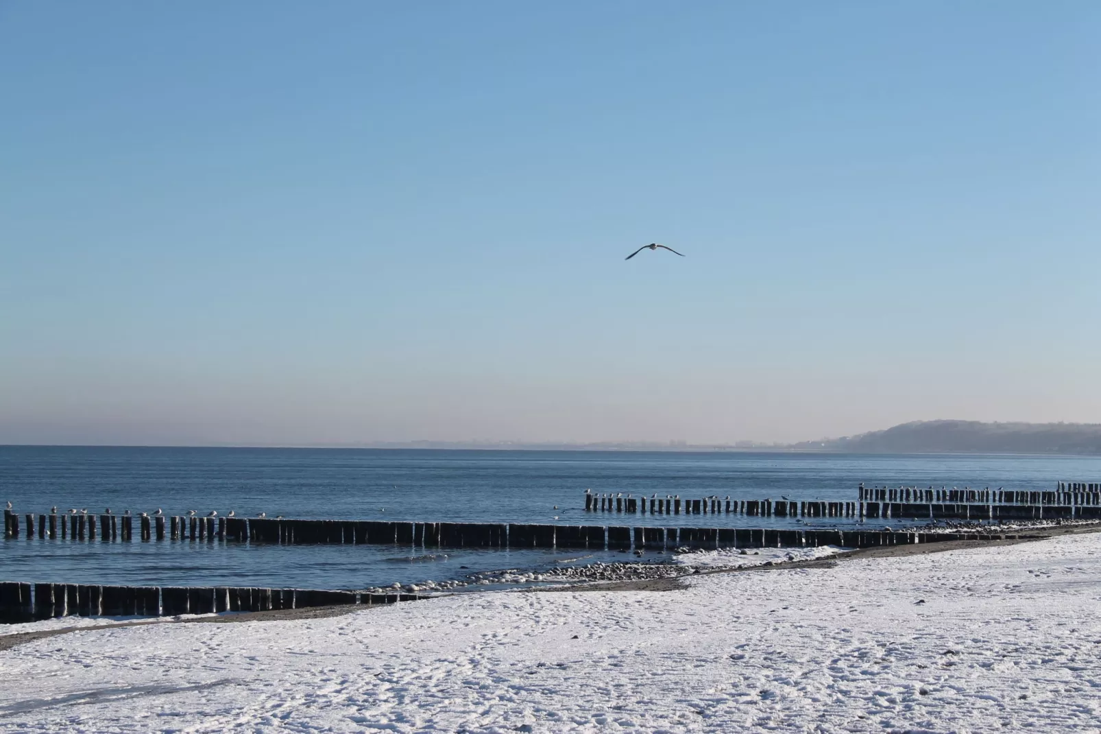 Im Grünen-Area winter 5km