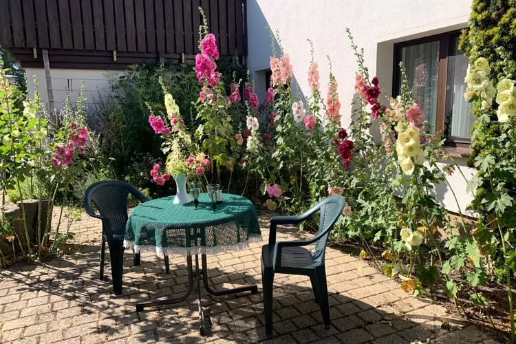 422777-Terrace