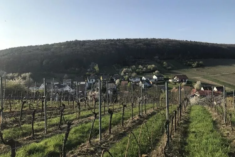 426936-View