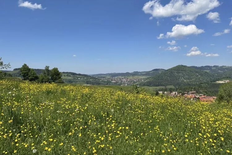 352750-Nicht getaggt