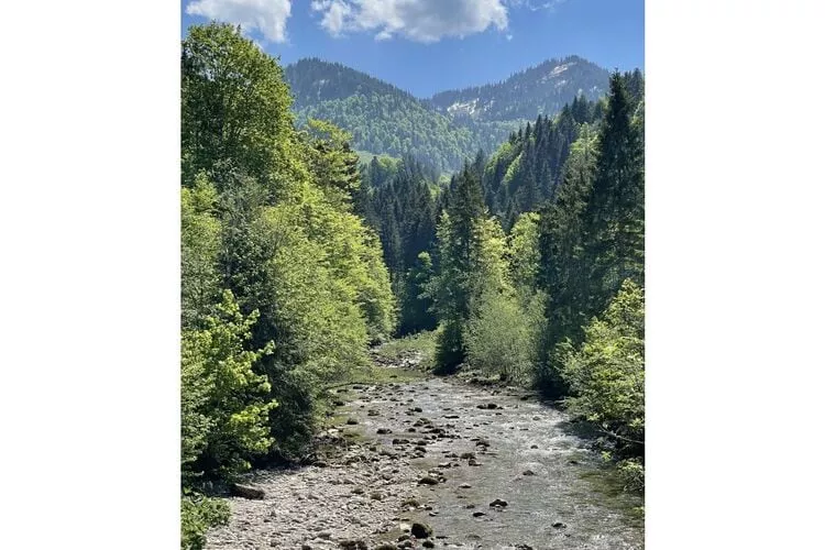352750-Nicht getaggt