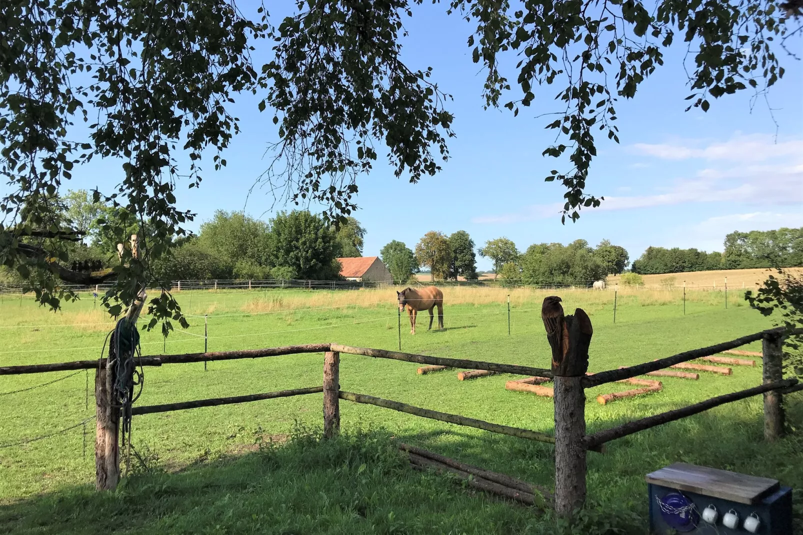 Ferienhaus Im Gutshofpark mit Sauna-View summer