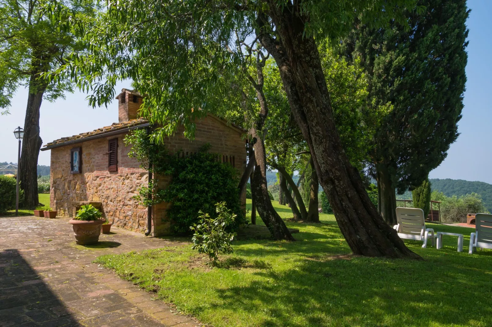 Glicine-Exterior summer