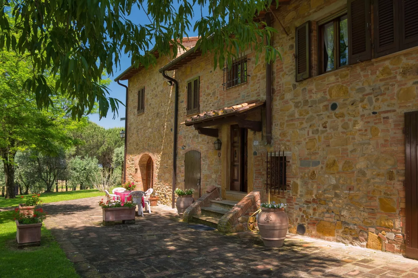 Glicine-Exterior summer