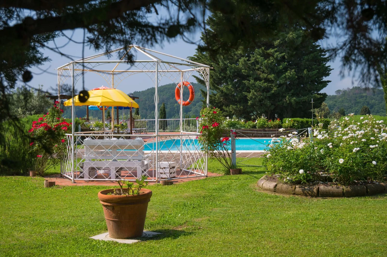 Glicine-Pool