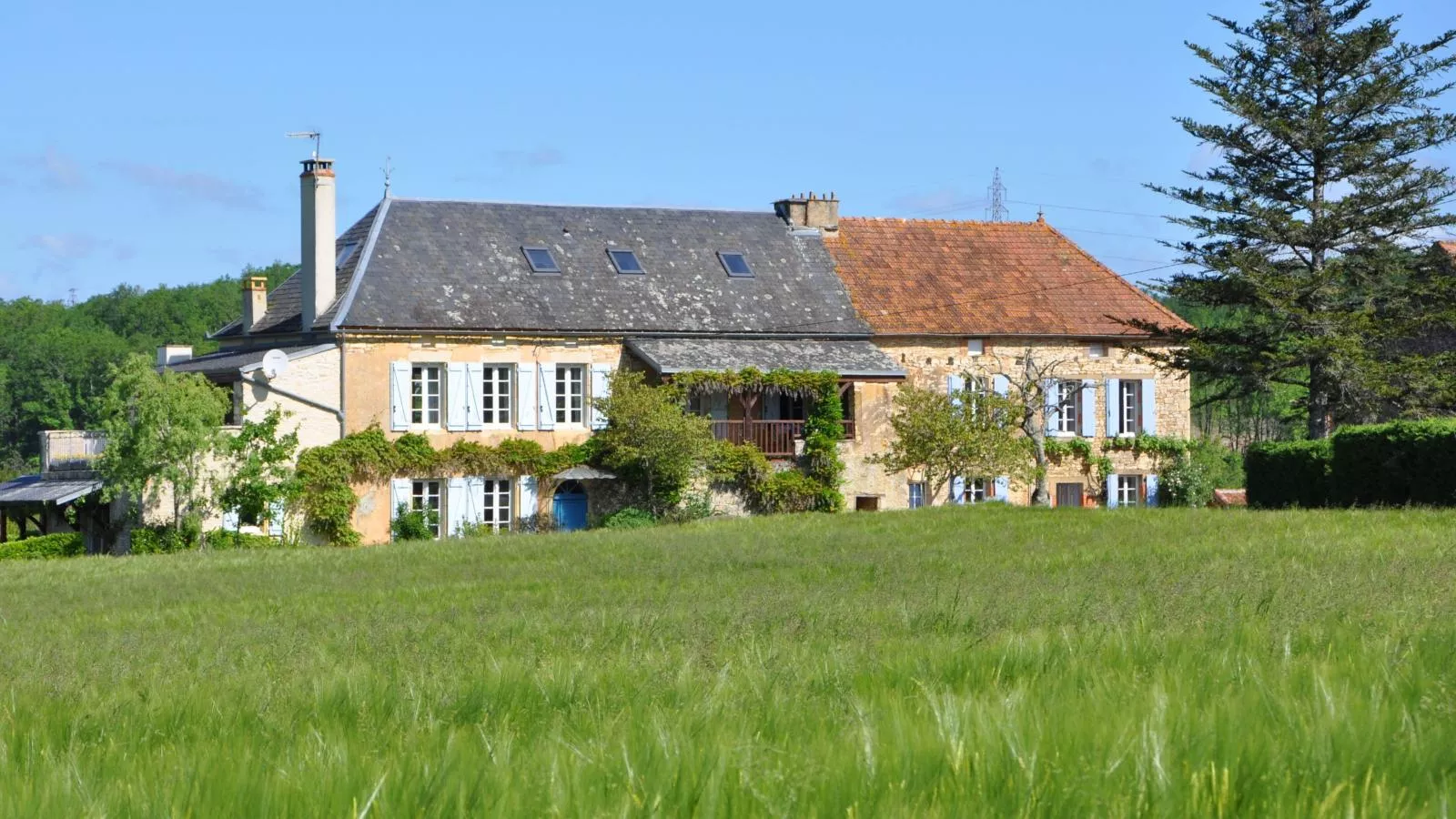 Lavende-Exterior summer