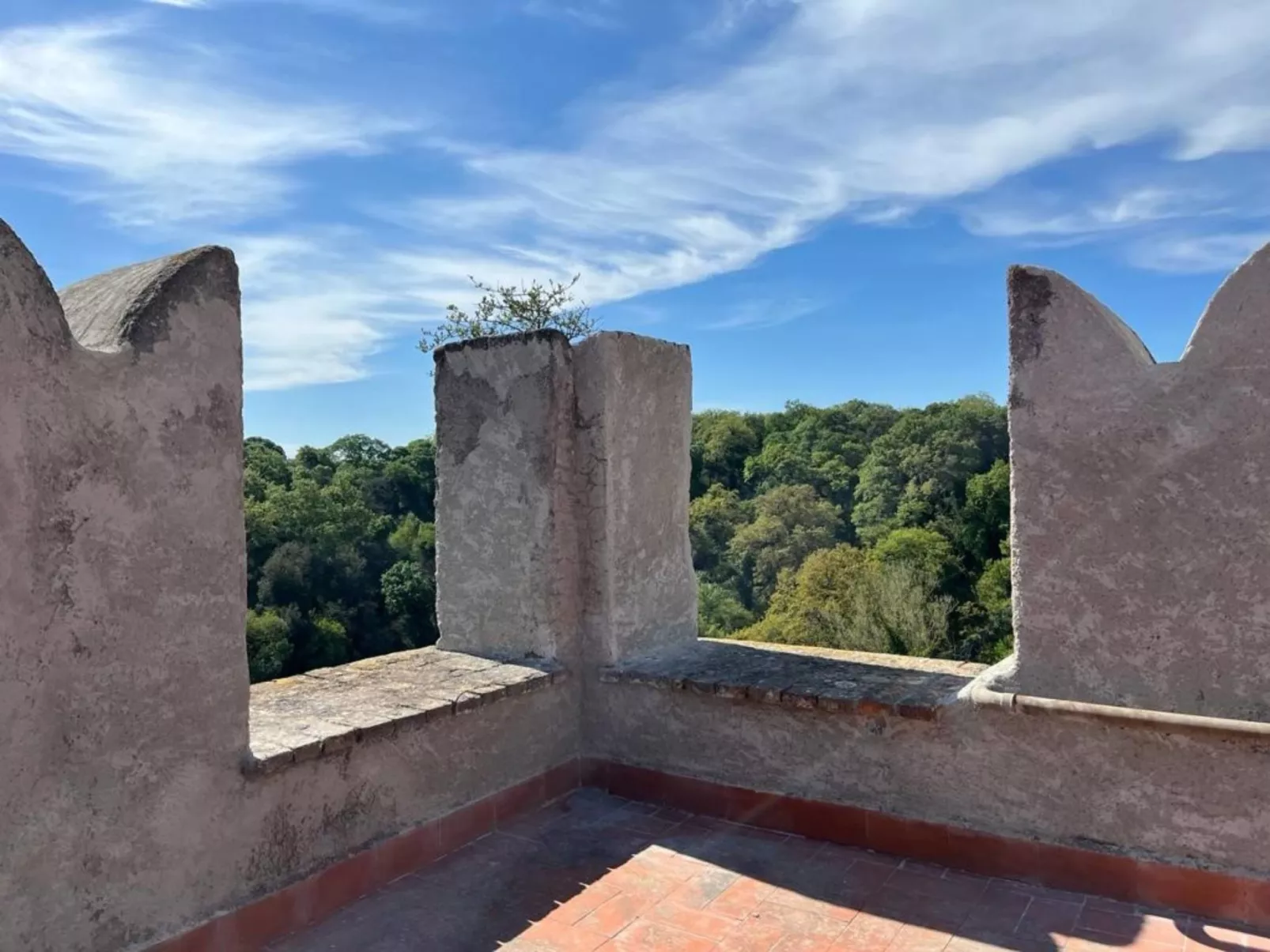 Castello di Torre in Pietra-Outside