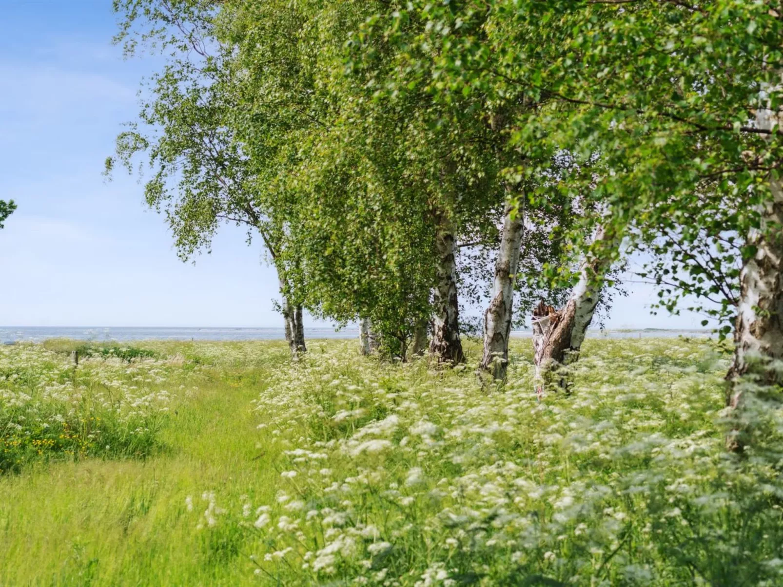 "Sys" - 150m from the sea-Outside