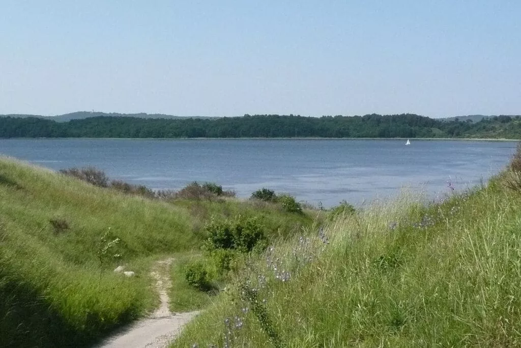 185494-Areas summer 5km