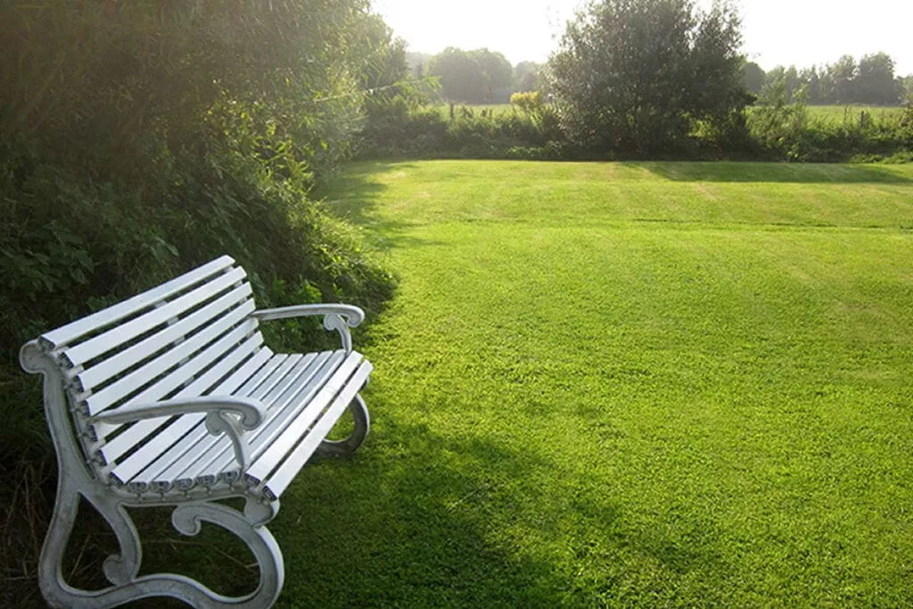 127599-Gardens summer