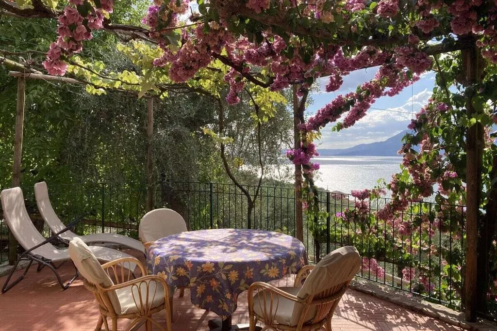 303265-Terrace balcony