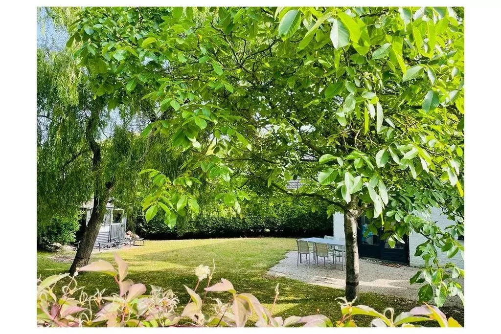 430992-Gardens summer