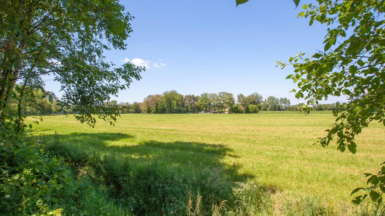 De Spil-Areas summer 1km
