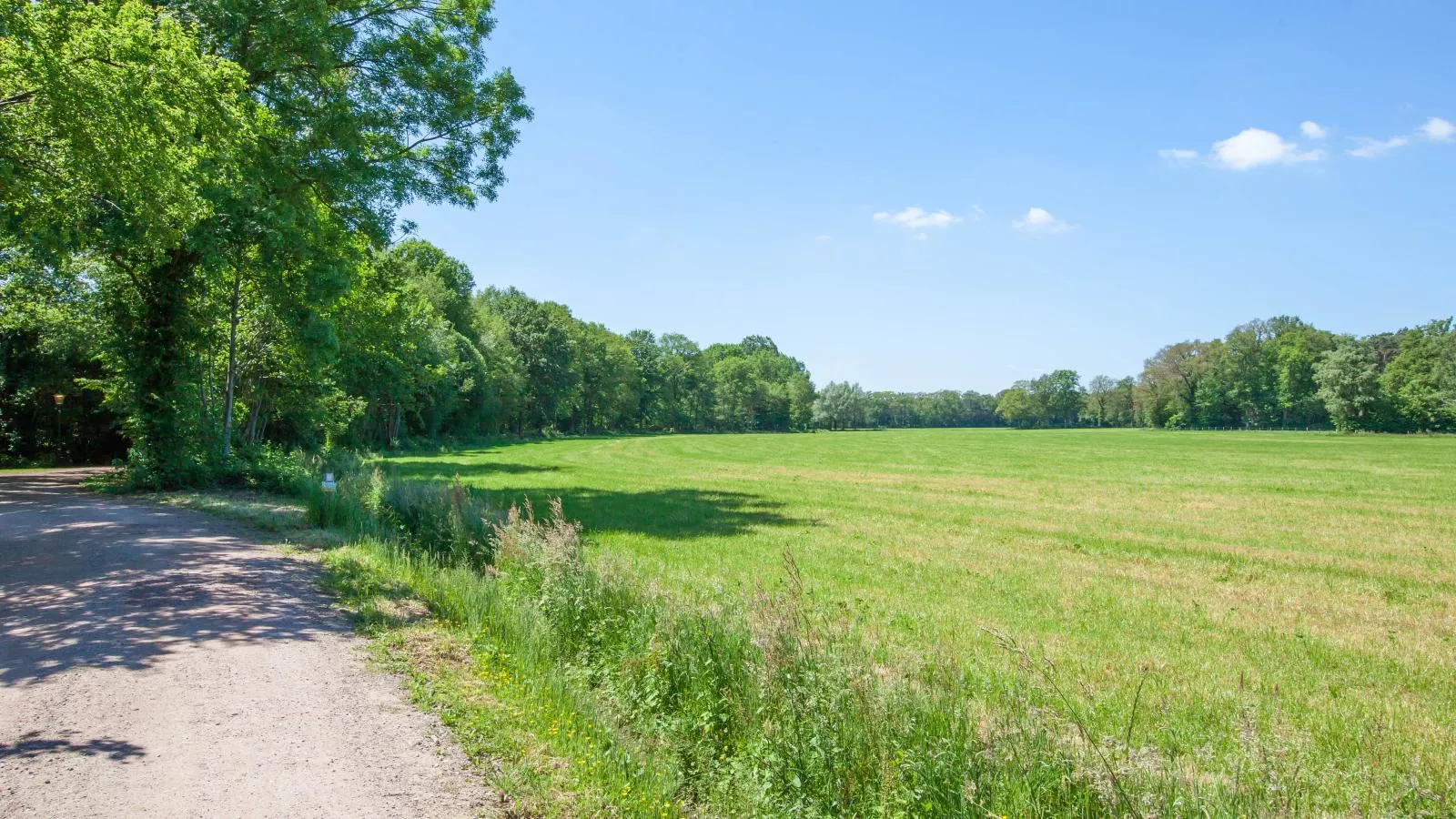 De Spil-Areas summer 1km