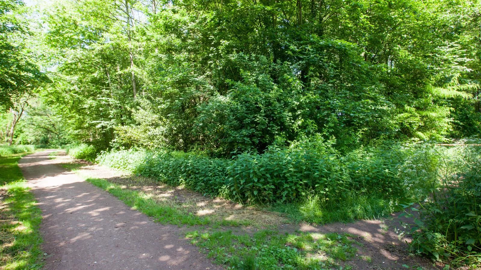 De Spil-Areas summer 1km