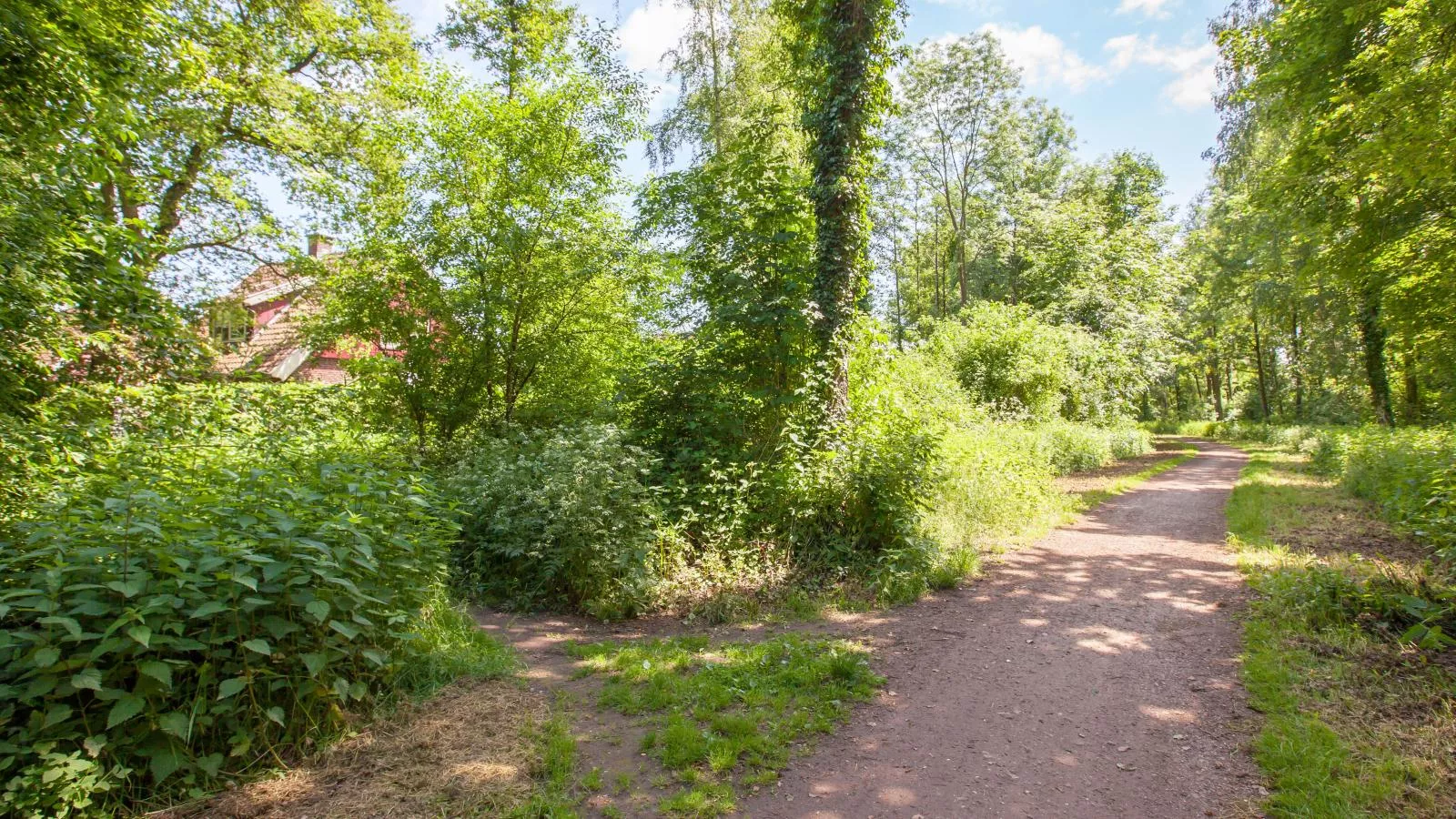 De Spil-Areas summer 1km