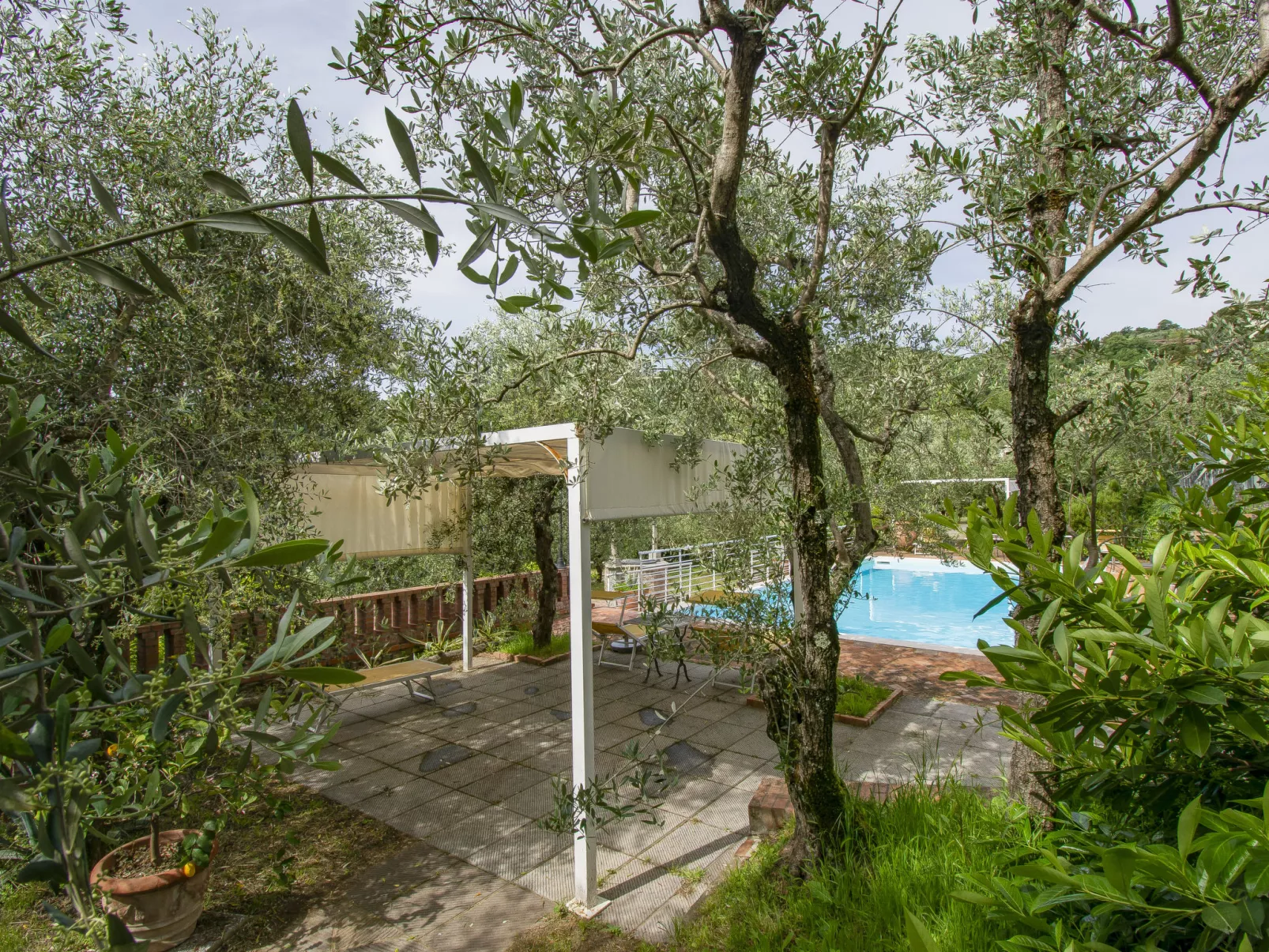 Borgo della Limonaia-Outside