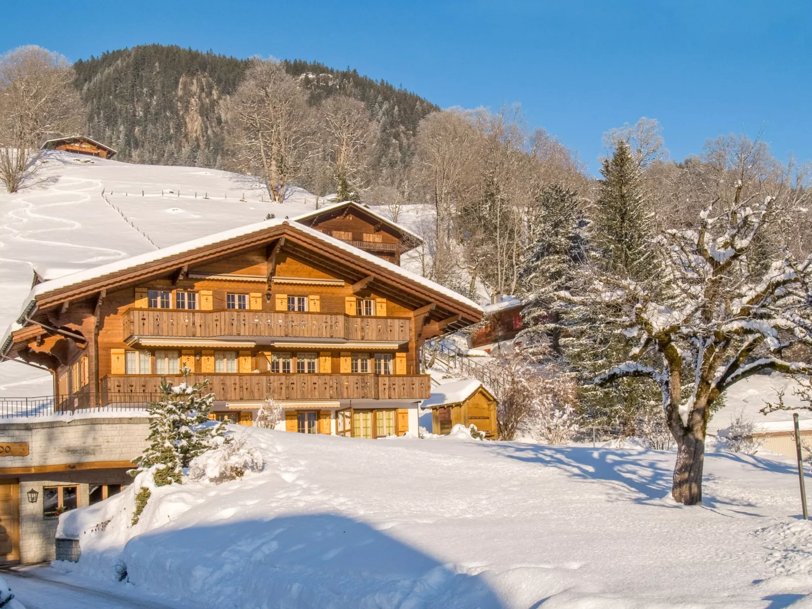 Chalet Hori-Outside