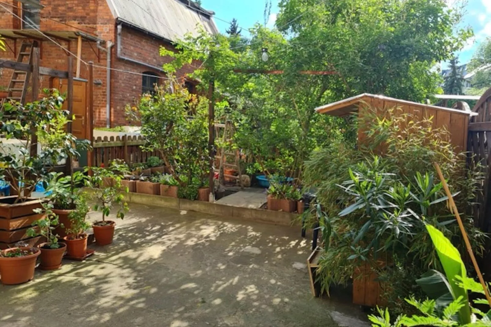 Hanoi Haus-Gardens summer