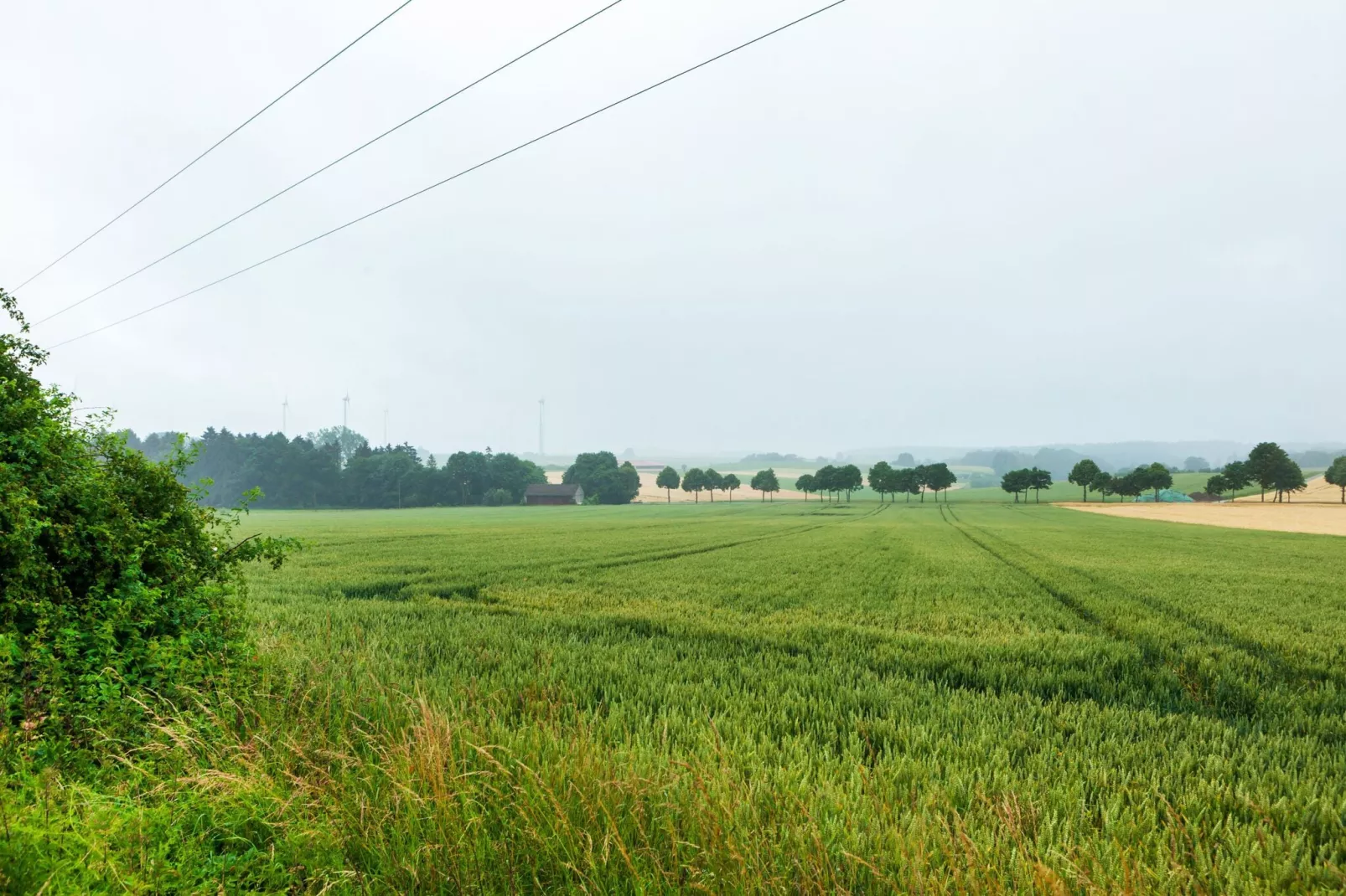 Bad Wünnenberg-Areas summer 1km