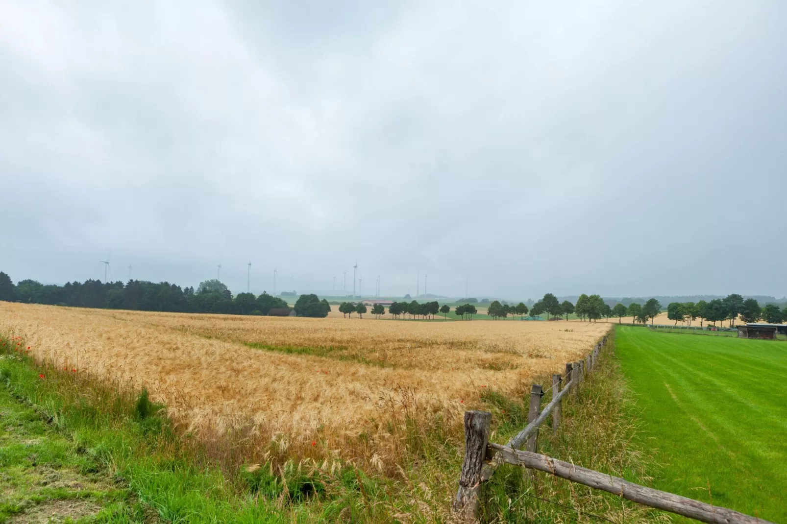 Bad Wünnenberg-Areas summer 5km