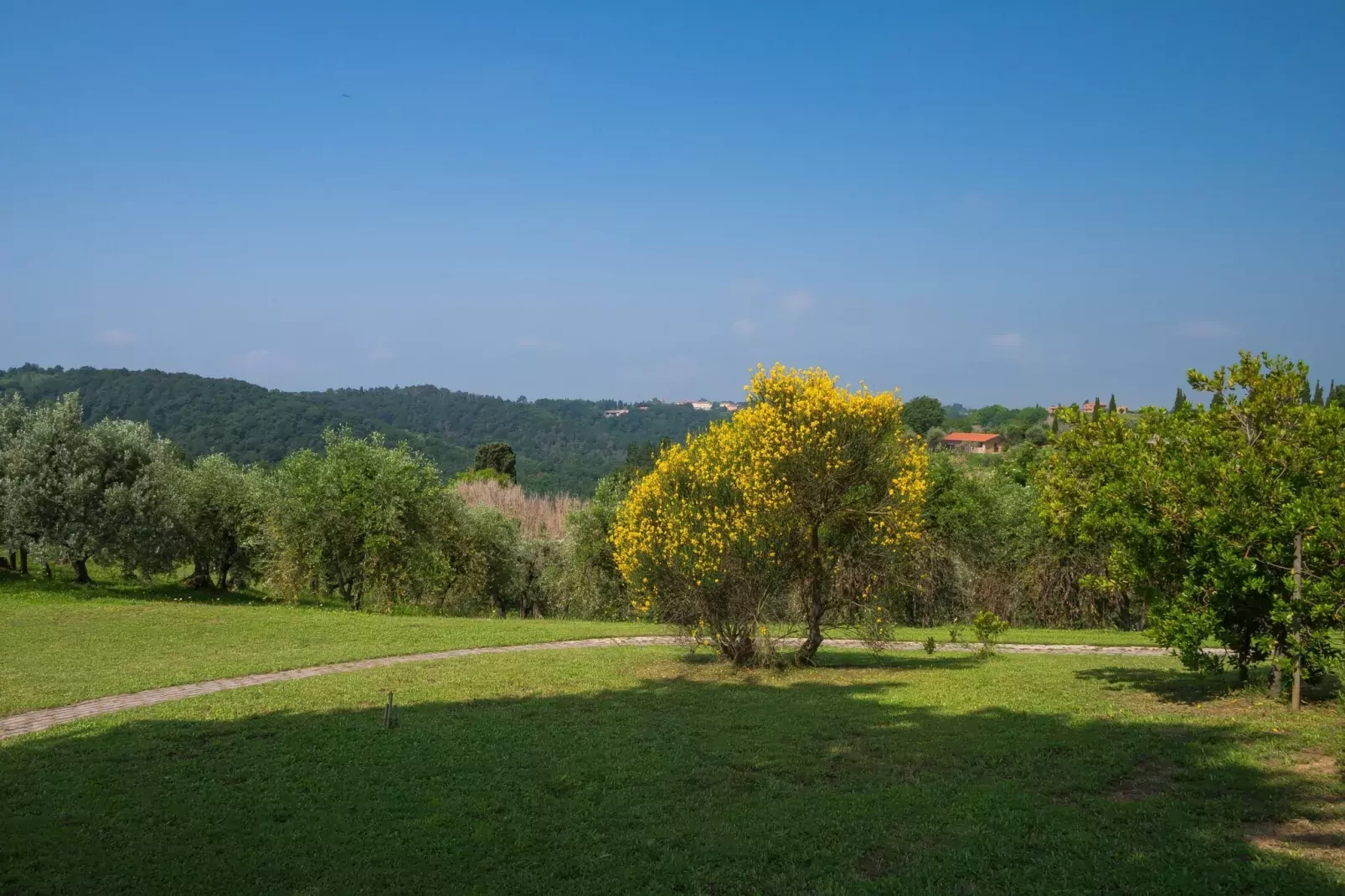 Bellavista-Gardens summer