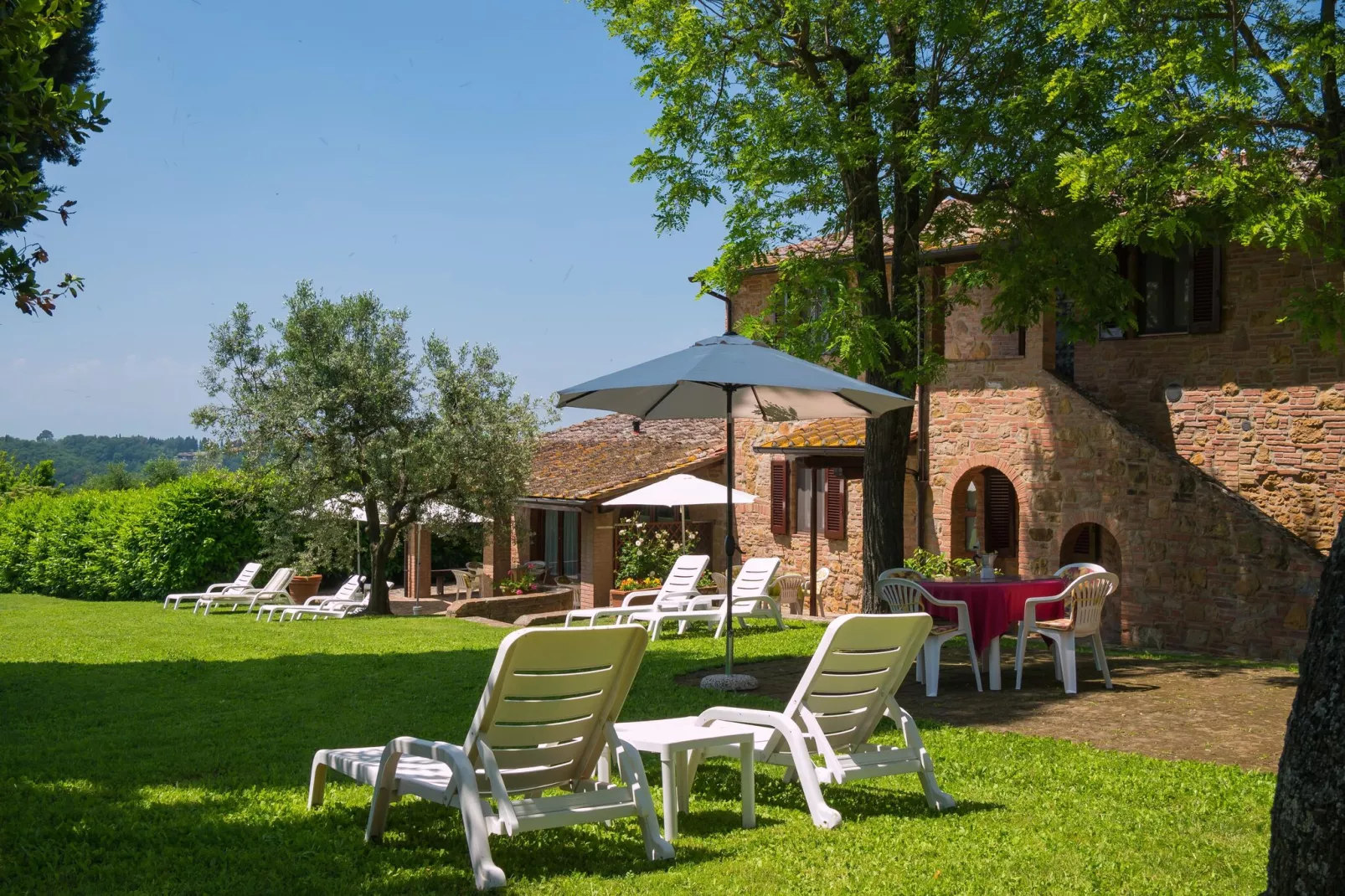 Ortensia e Glicine-Gardens summer