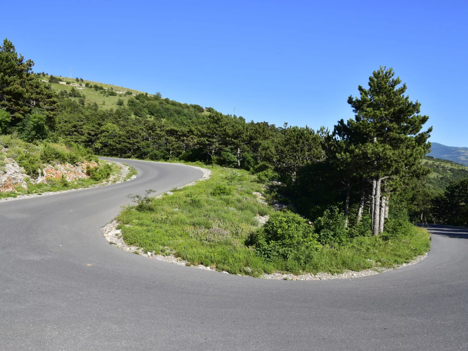Novak-Area