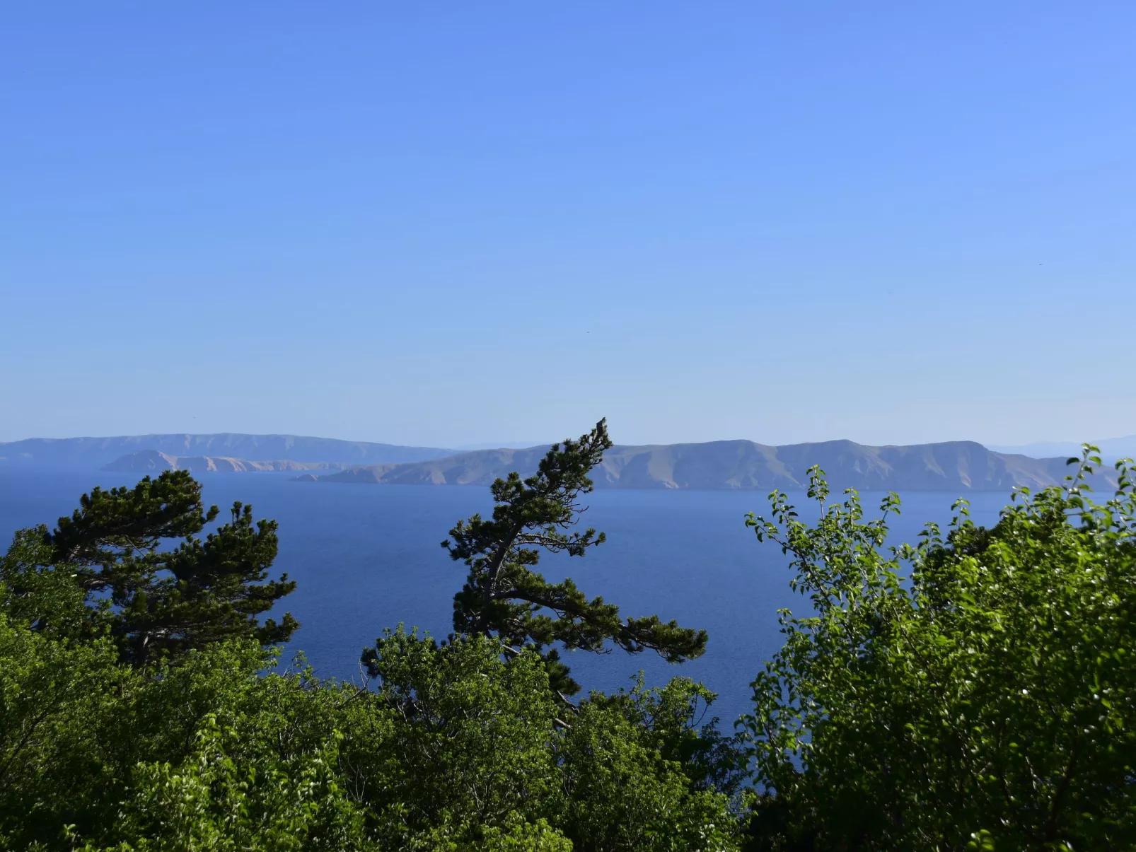 Dalibor-Area