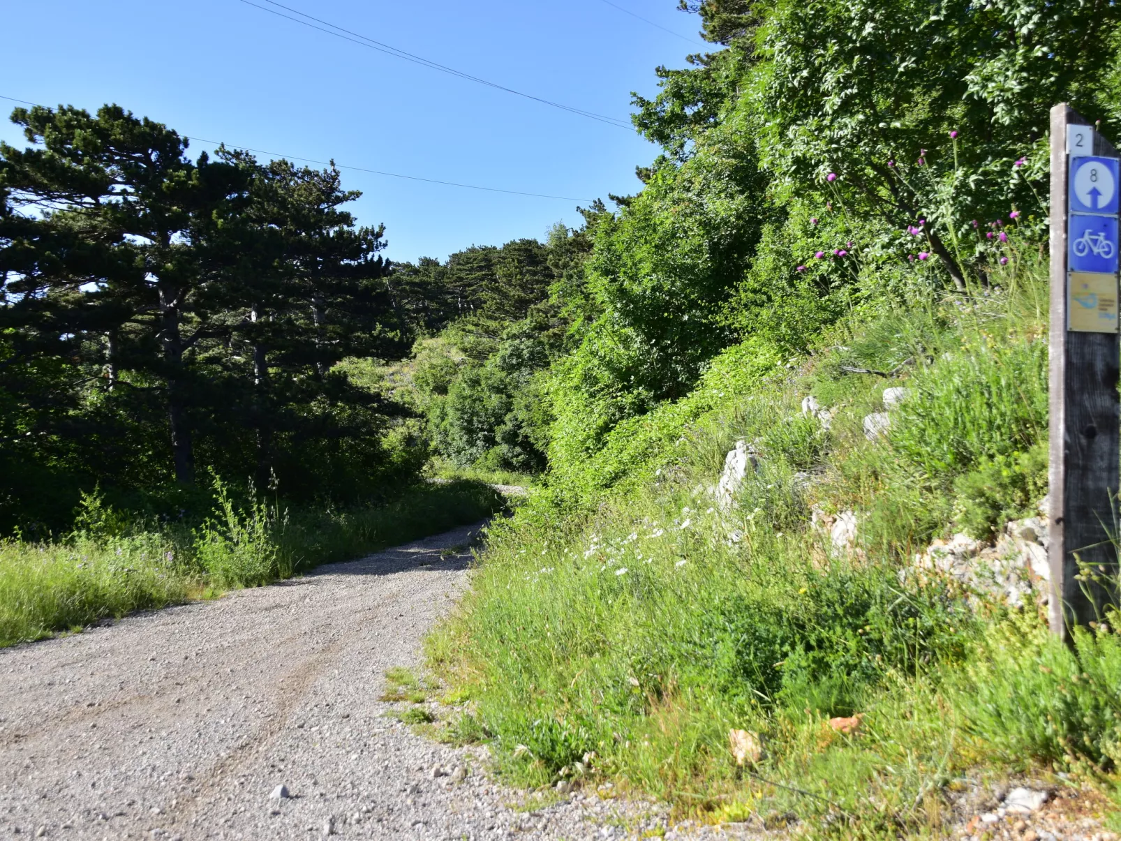 Miškulin-Area