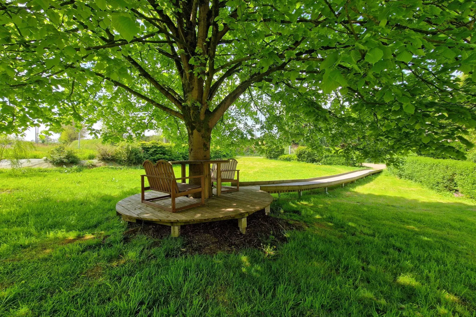 gardensummer