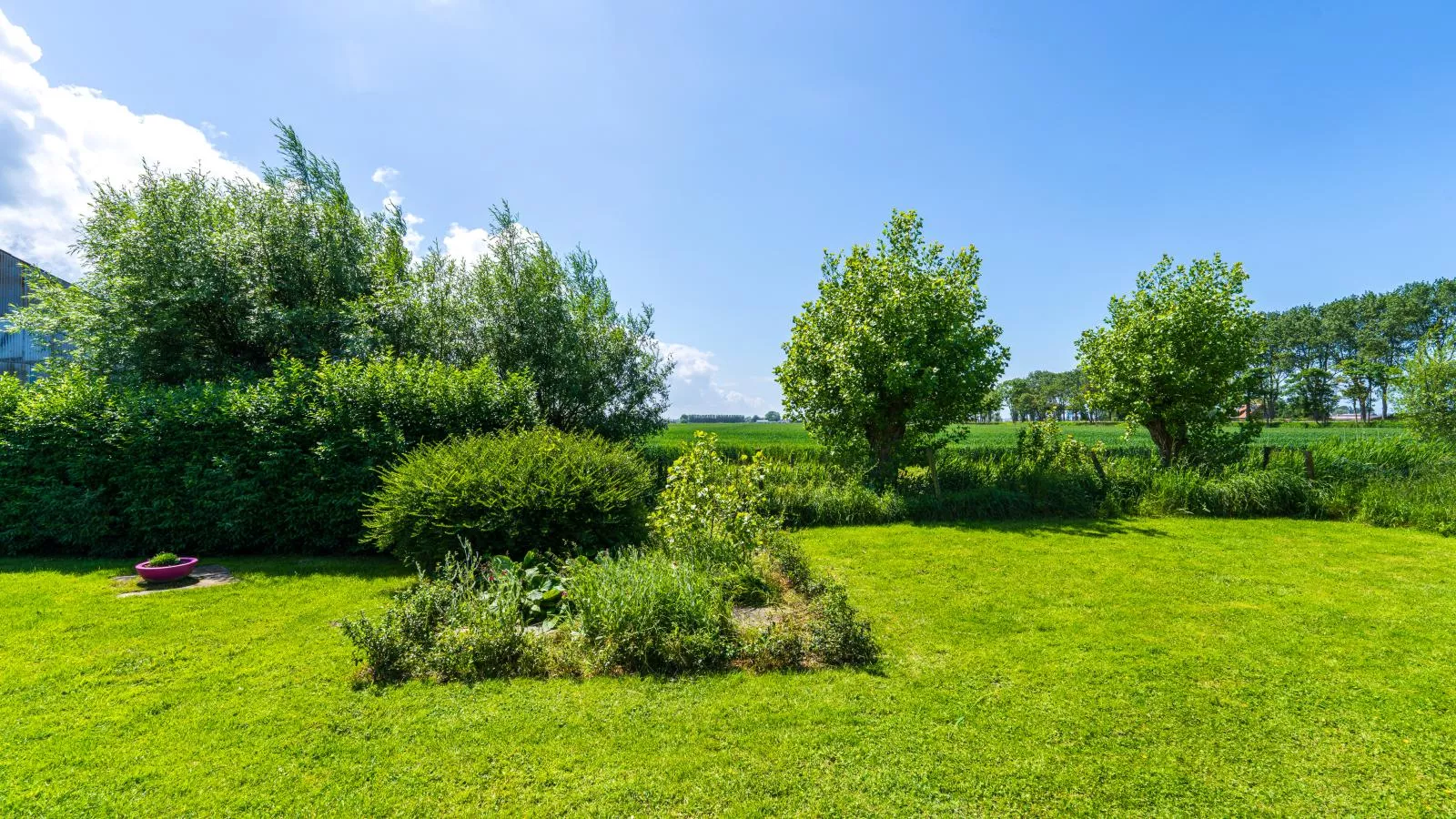 Meeuwenoord-Gardens summer