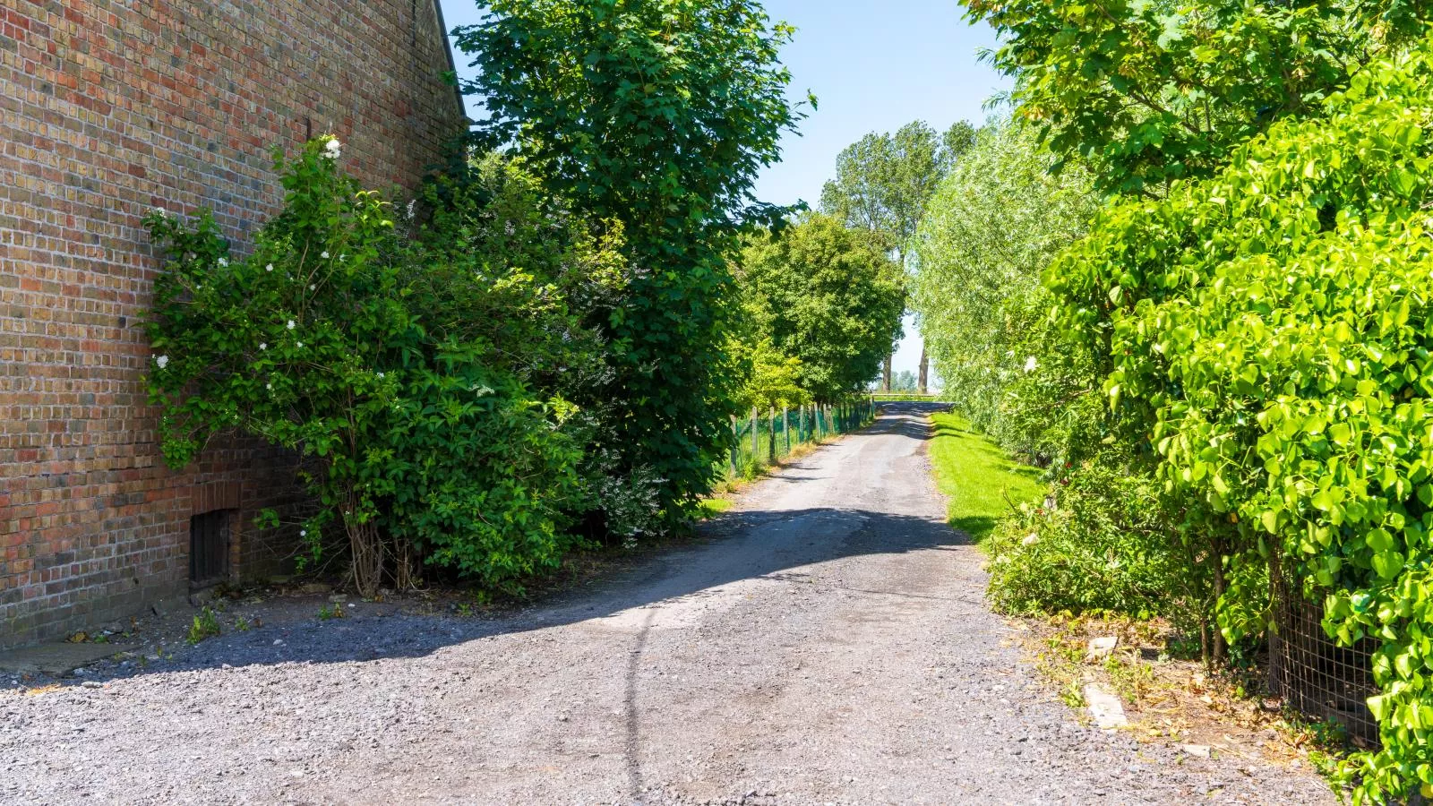 Meeuwenoord-Areas summer 1km