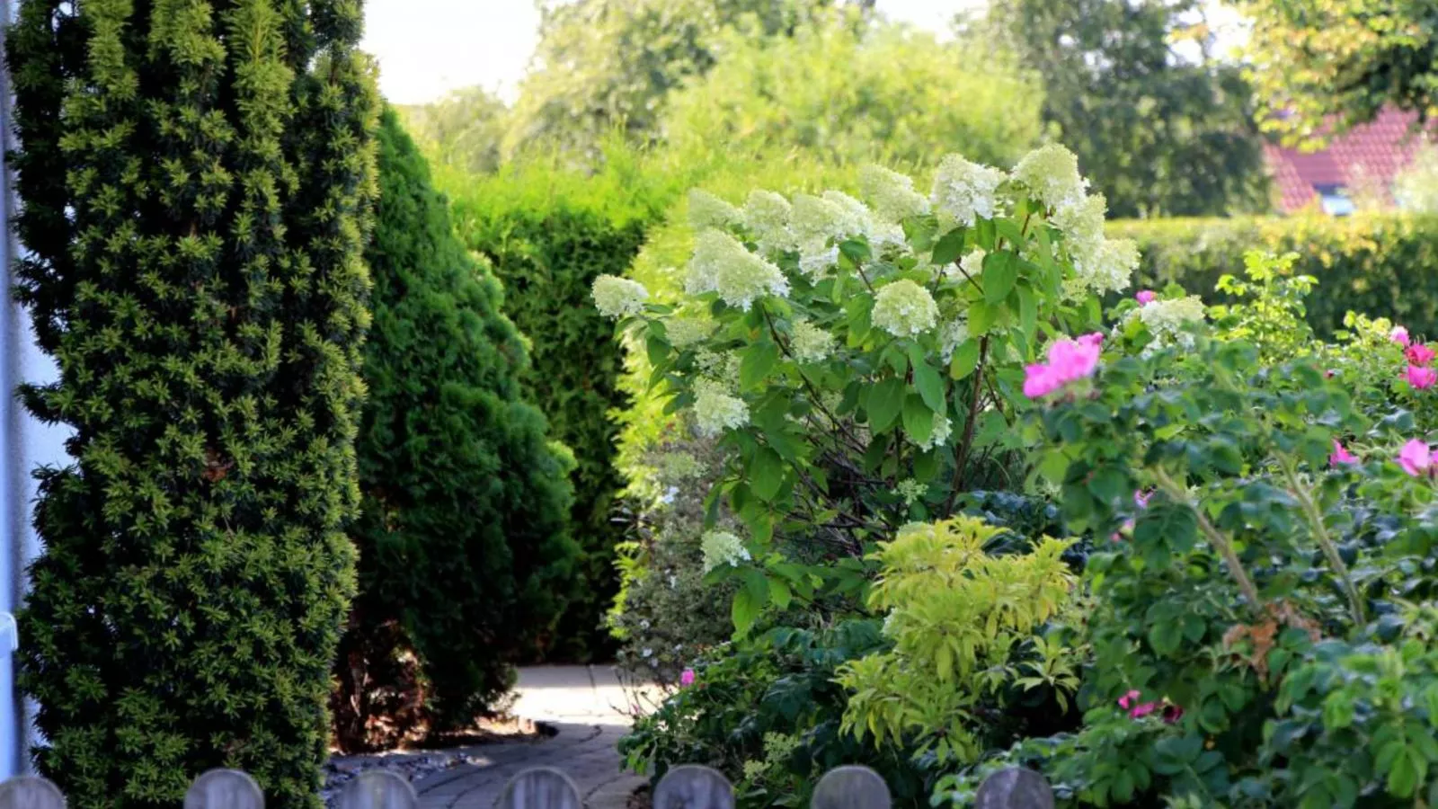 Nordlicht - Ausblick-Gardens summer