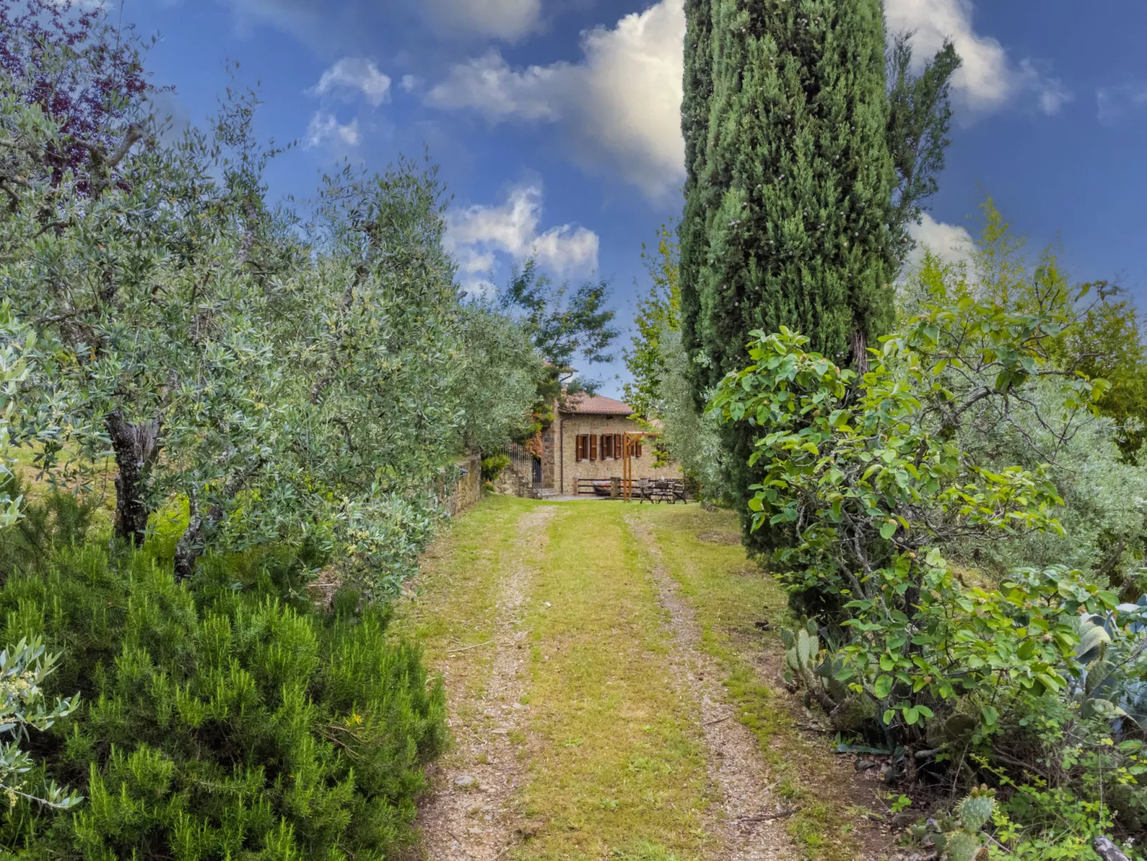Tegliaia-Outside
